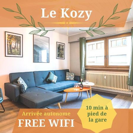Le Kozy - Wifi - Centre Ville - Proche Commerces Sarrebourg Kültér fotó